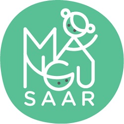 Mängu Saar/Interactive Play OÜ