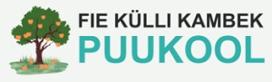 Külli Kambek FIE